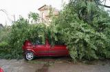 Kaunas, Lithuania after the Storm 2010-08-08